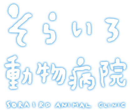 そらいろ動物病院